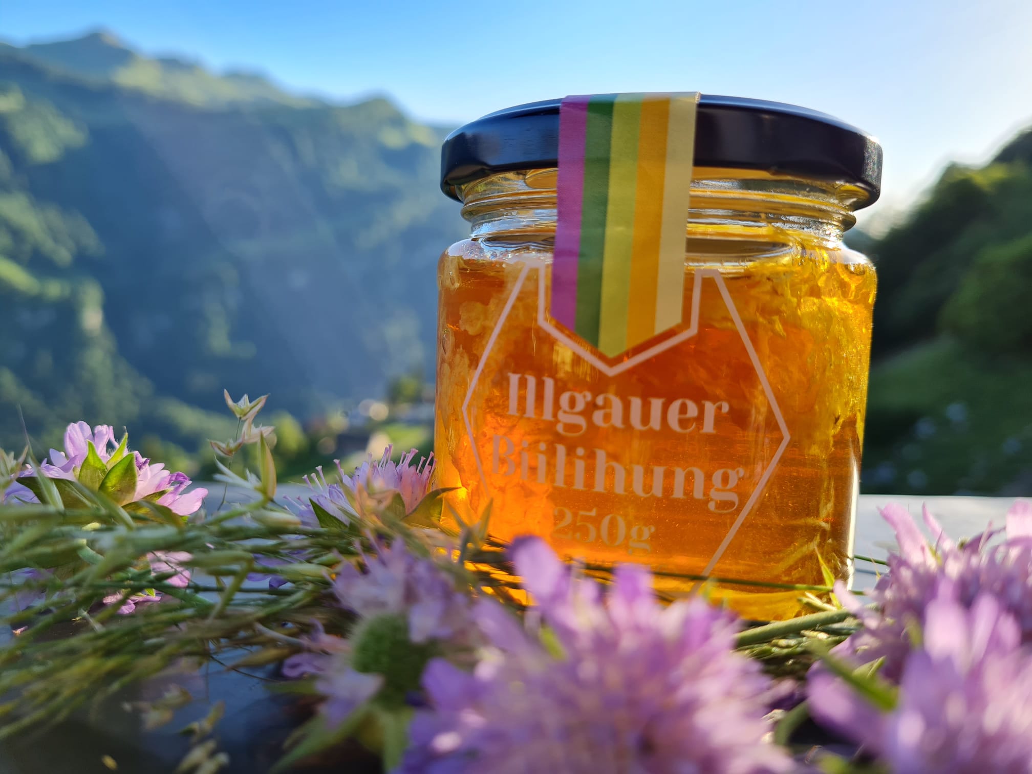 Illgauer Biilihung